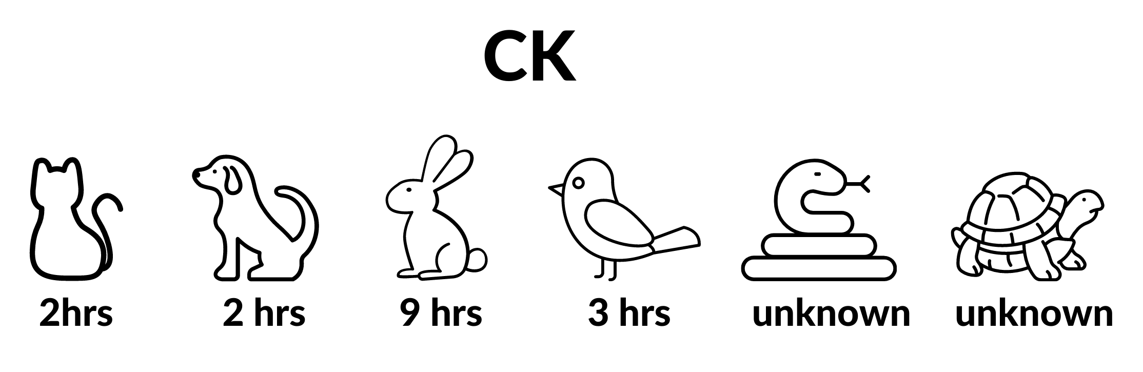 Creatine Kinase in Veterinary Medicine